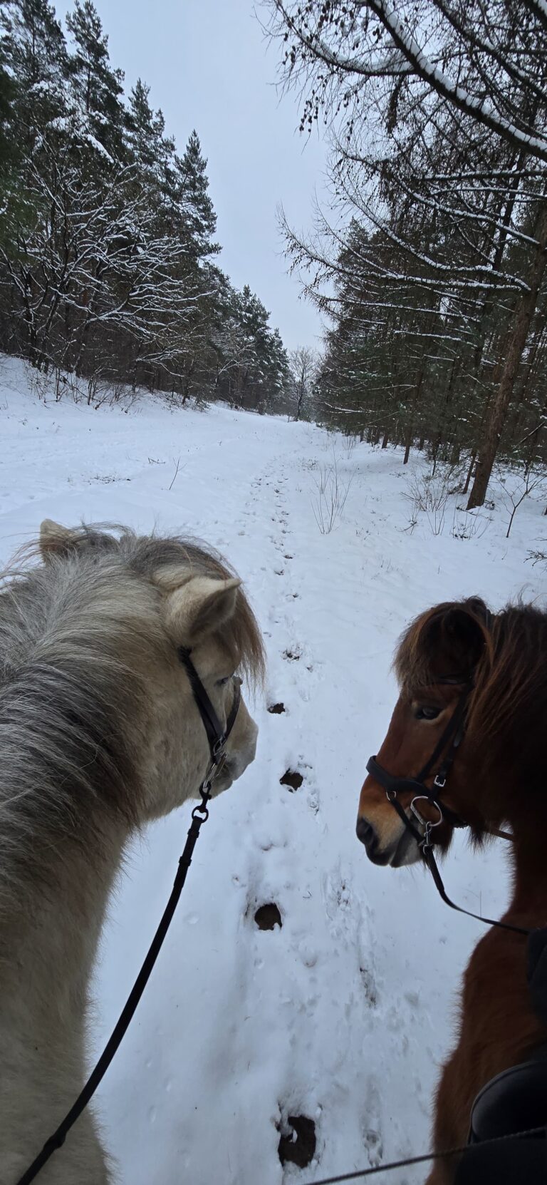 Winterstimmung beim IPRV Sandkrug e.V.